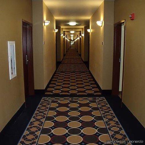 Irish Inn And Suites Muleshoe Экстерьер фото